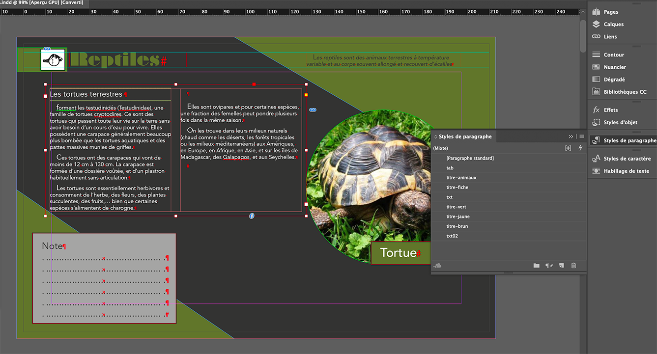 Capture d'écran d'indesign qui montre l'utilisation des styles de paragraphe