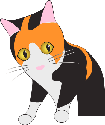 un chat tricolore assis avec ses deux pattes posées devant lui